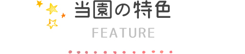 ̓F